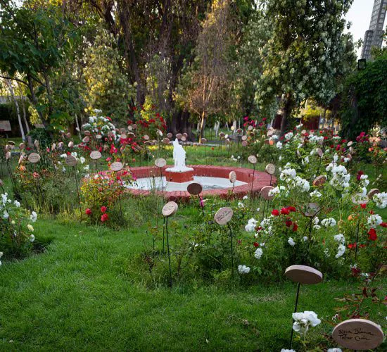 villagrimaldi.cl