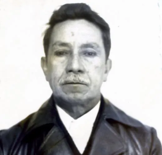 vicariadelasolidaridad.cl