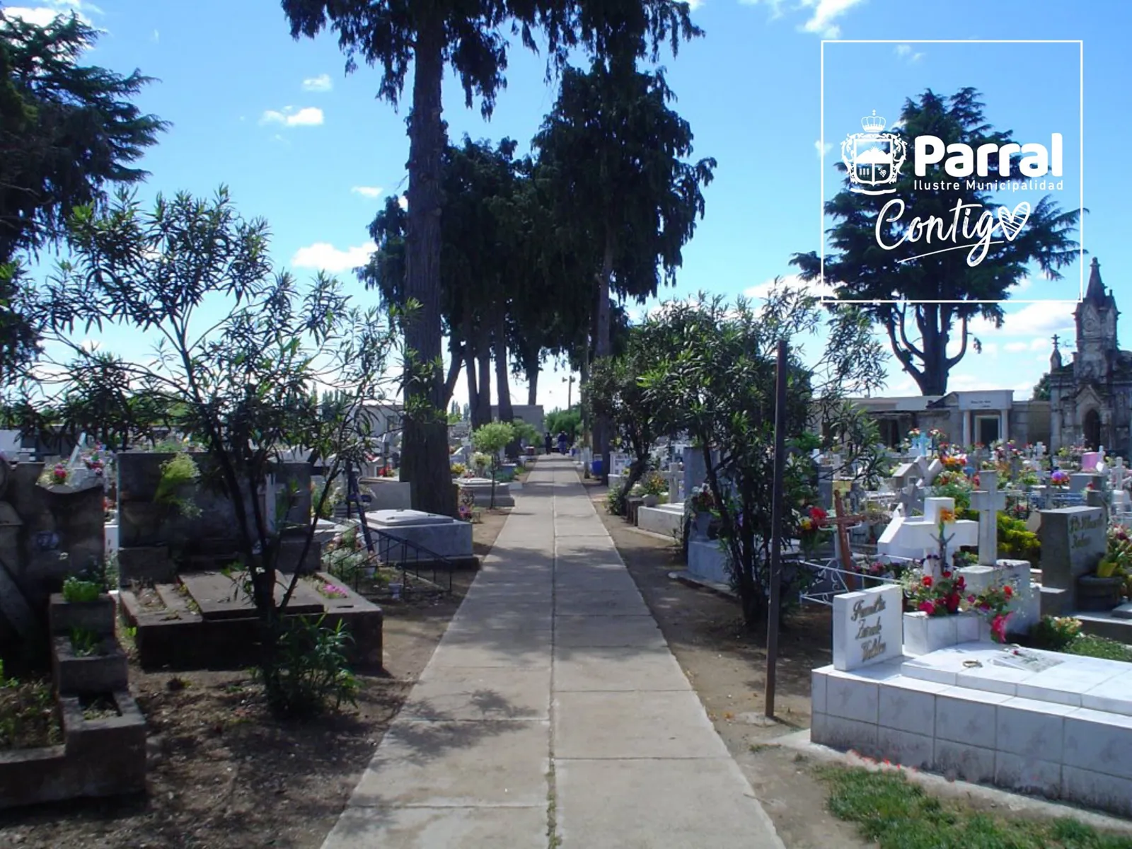 Catillo- municipalidad de Parral