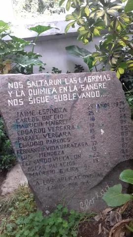 homenaje -Liceo de Aplicación