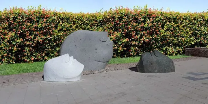 Copiapó - Tierra Amarilla Homenaje
