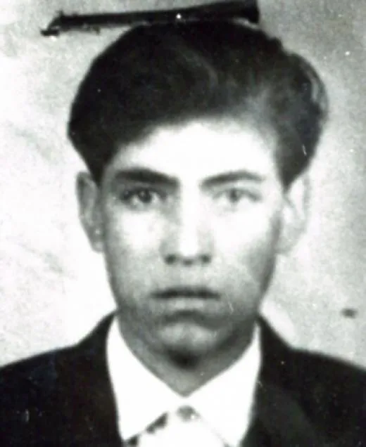vicariadelasolidaridad.cl