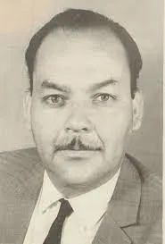 elmorrocotudo.cl  