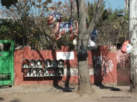 urbesalvaje.com