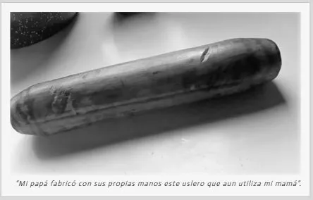 germina.cl  AFDD PAINE