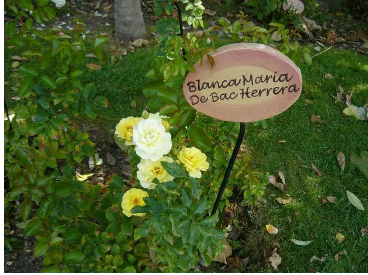 nomasviolenciacontralasmujeres.cl
