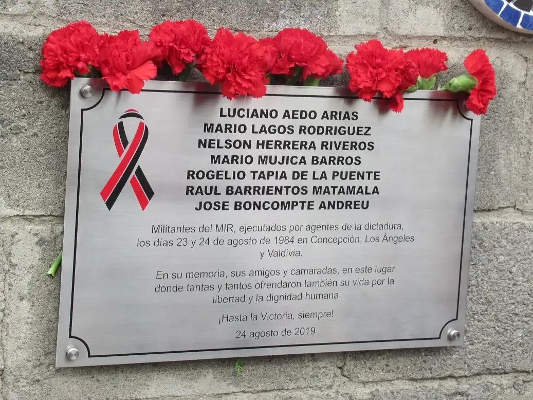 elclarin.cl