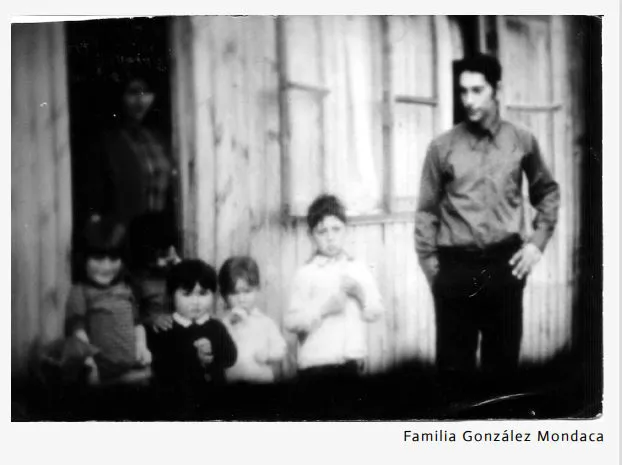 germina.cl