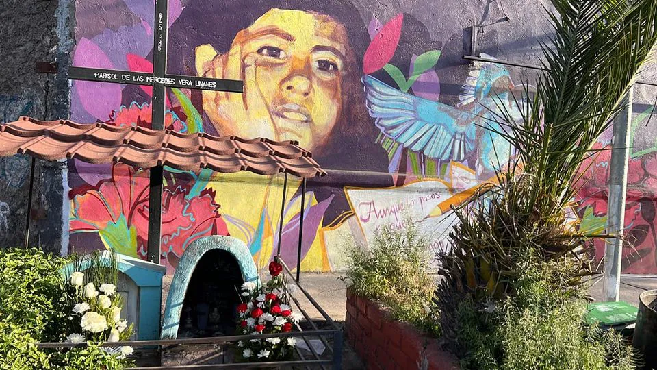 Fundación Marisol Vera Linares