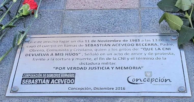 biobiochile.cl