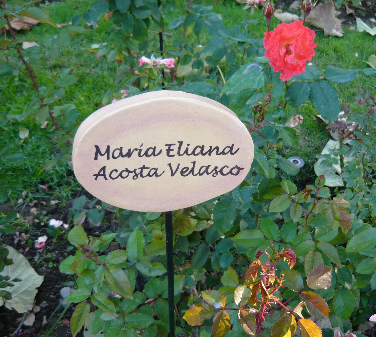 villagrimaldi.cl