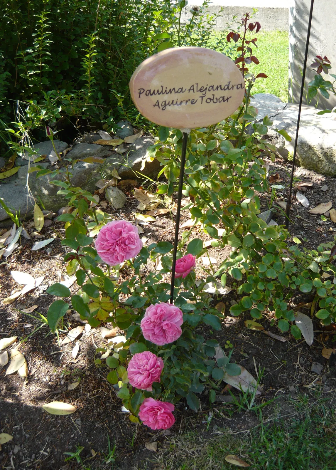 villagrimaldi.cl