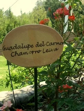 villagrimaldi.cl