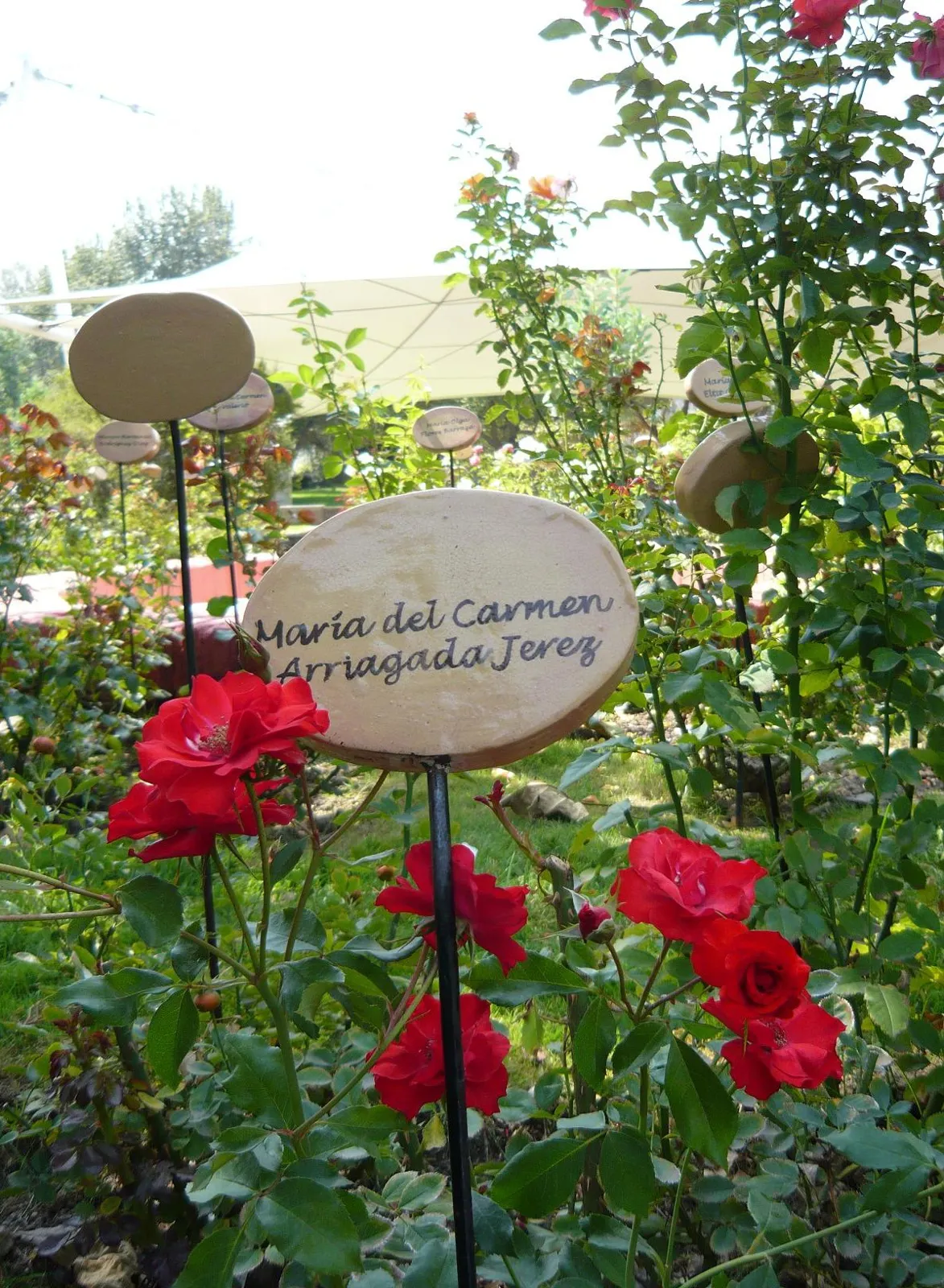 villagrimaldi.cl