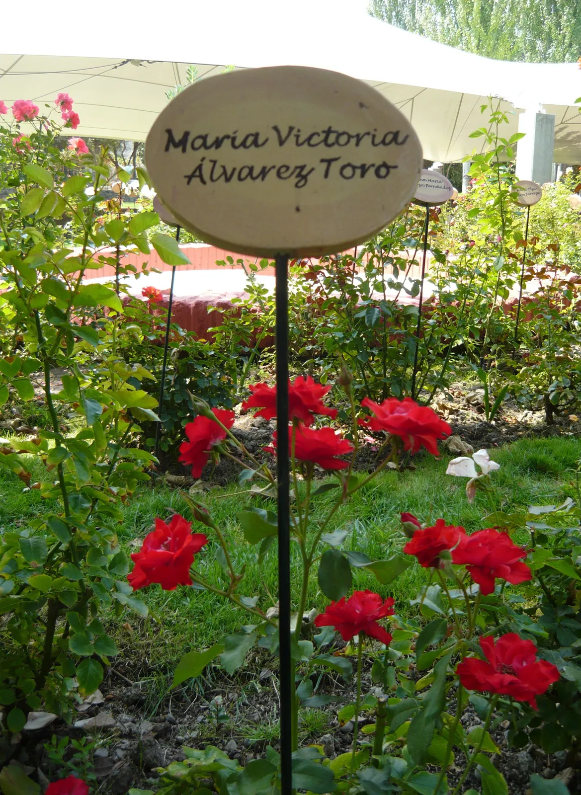 villagrimaldi.cl