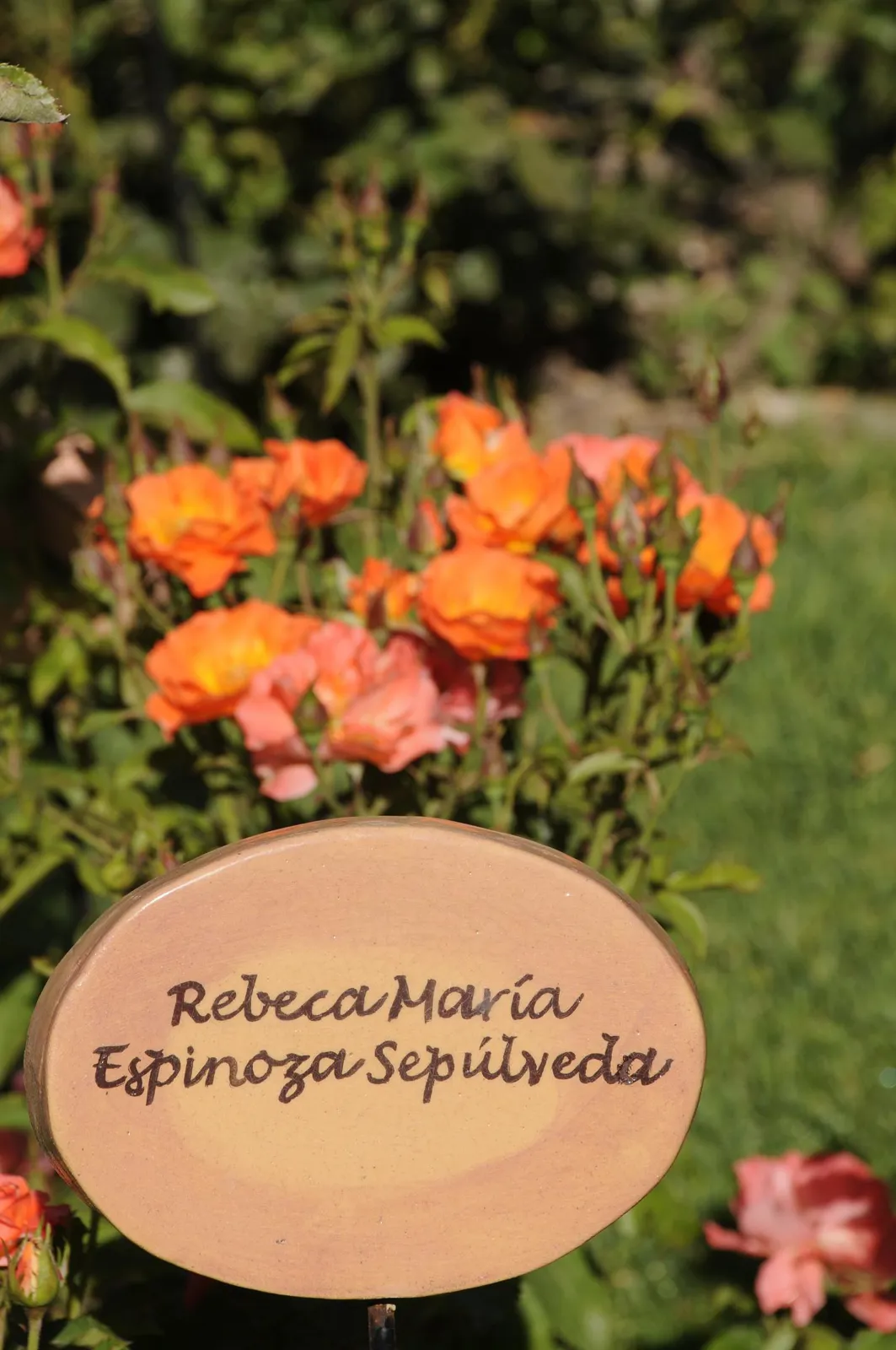 villagrimaldi.cl Homenaje a la Mujer