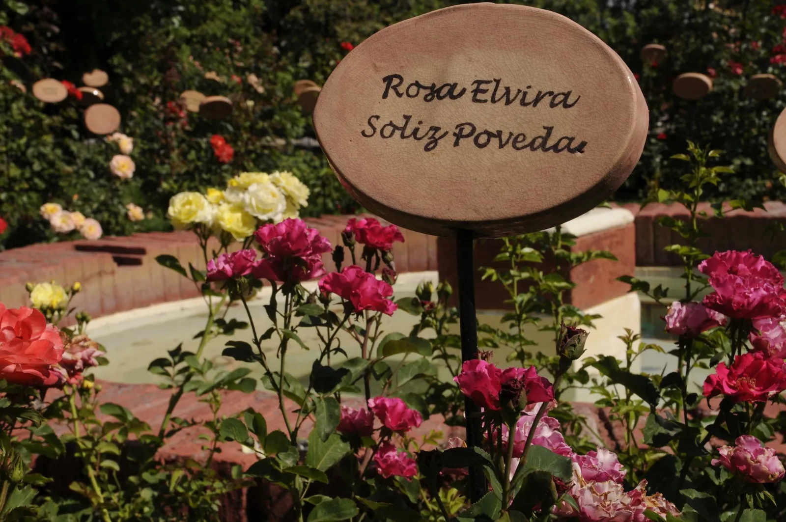 villagrimaldi.cl Homenaje a la Mujer