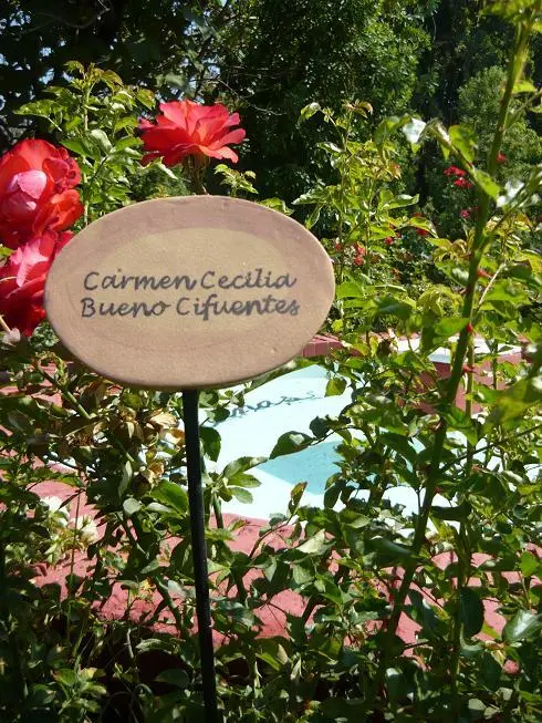 villagrimaldi.cl Homenaje a la Mujer
