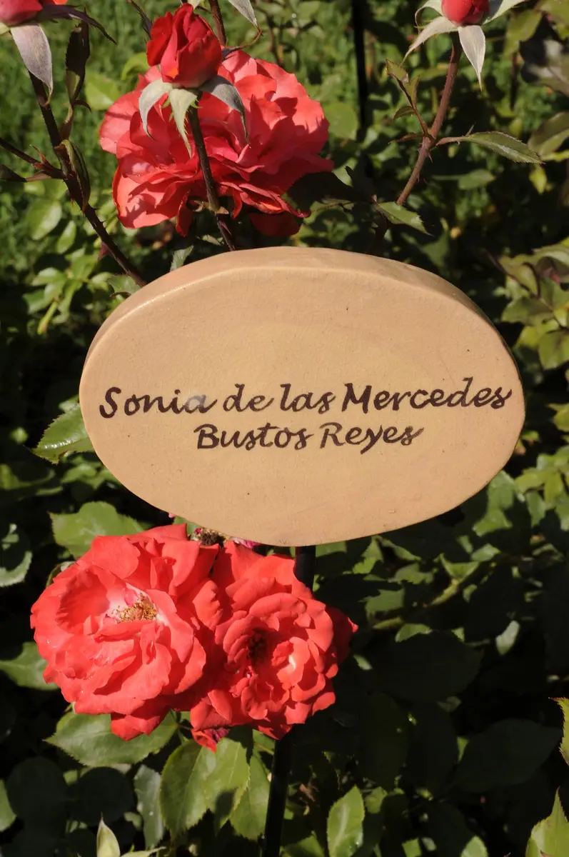 villagrimaldi.cl Homenaje a la Mujer