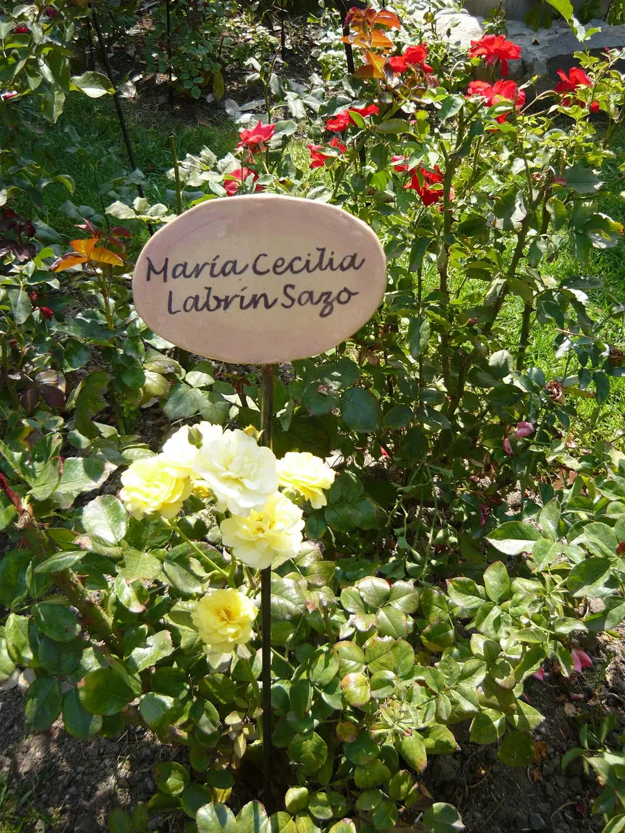 villagrimaldi.cl Homenaje a la Mujer