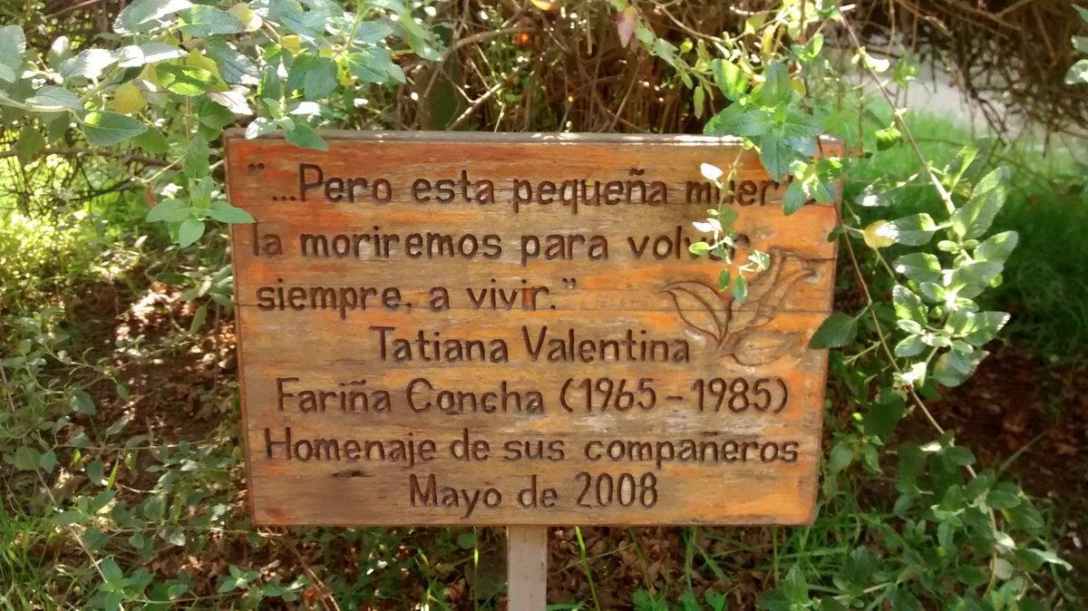 rompiendolacotideanidad.worpress.com