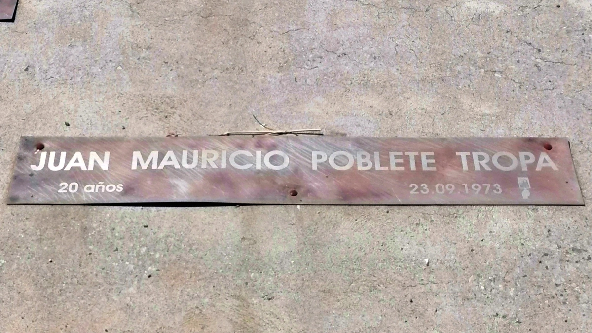 Parque de la Meditación Chillán