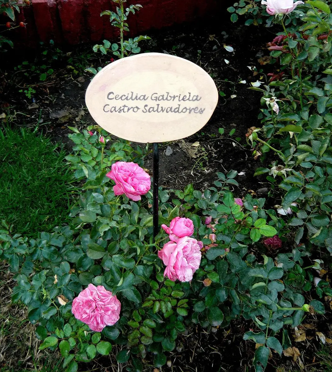 villagrimaldi.cl Homenaje a la Mujer
