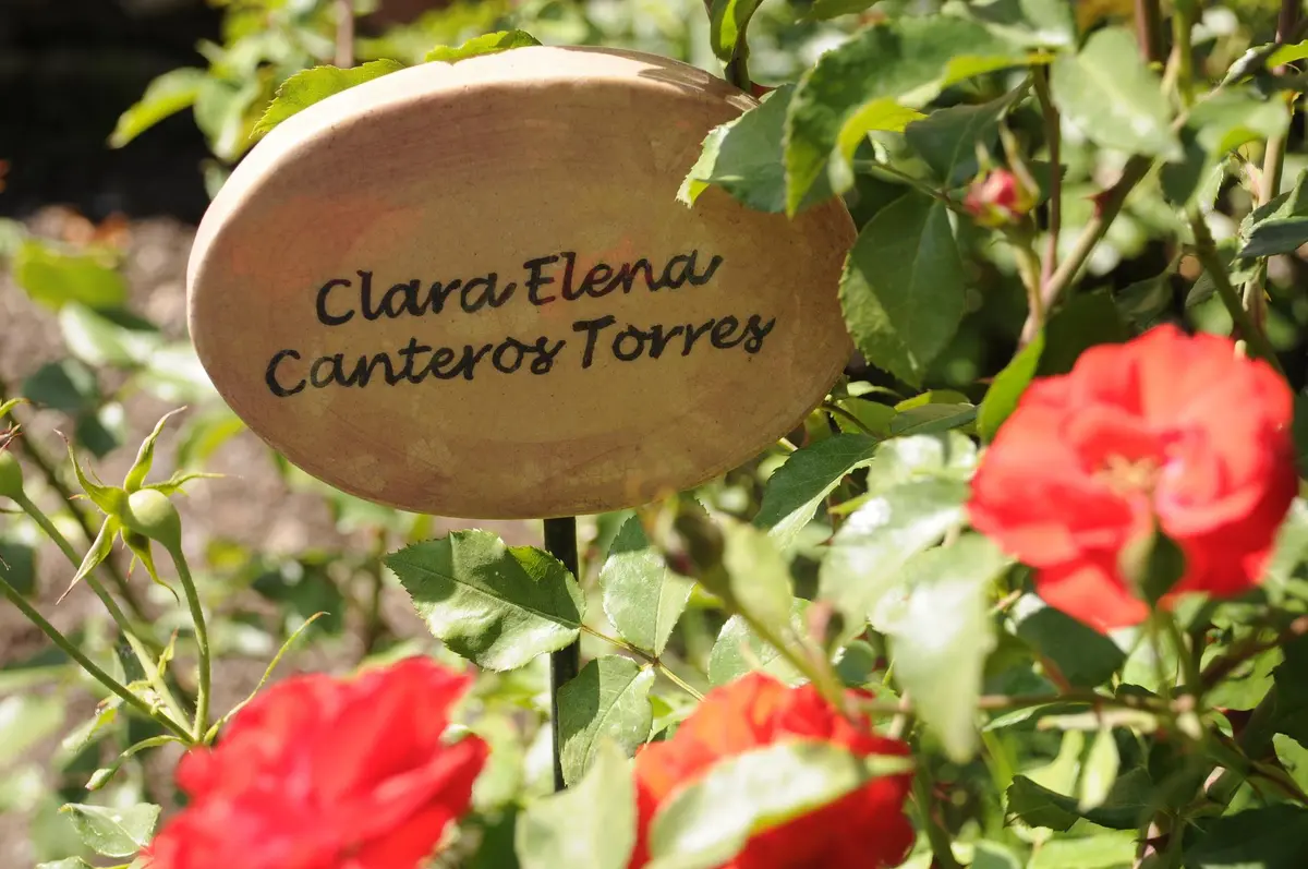 villagrimaldi.cl Homenaje a la Mujer