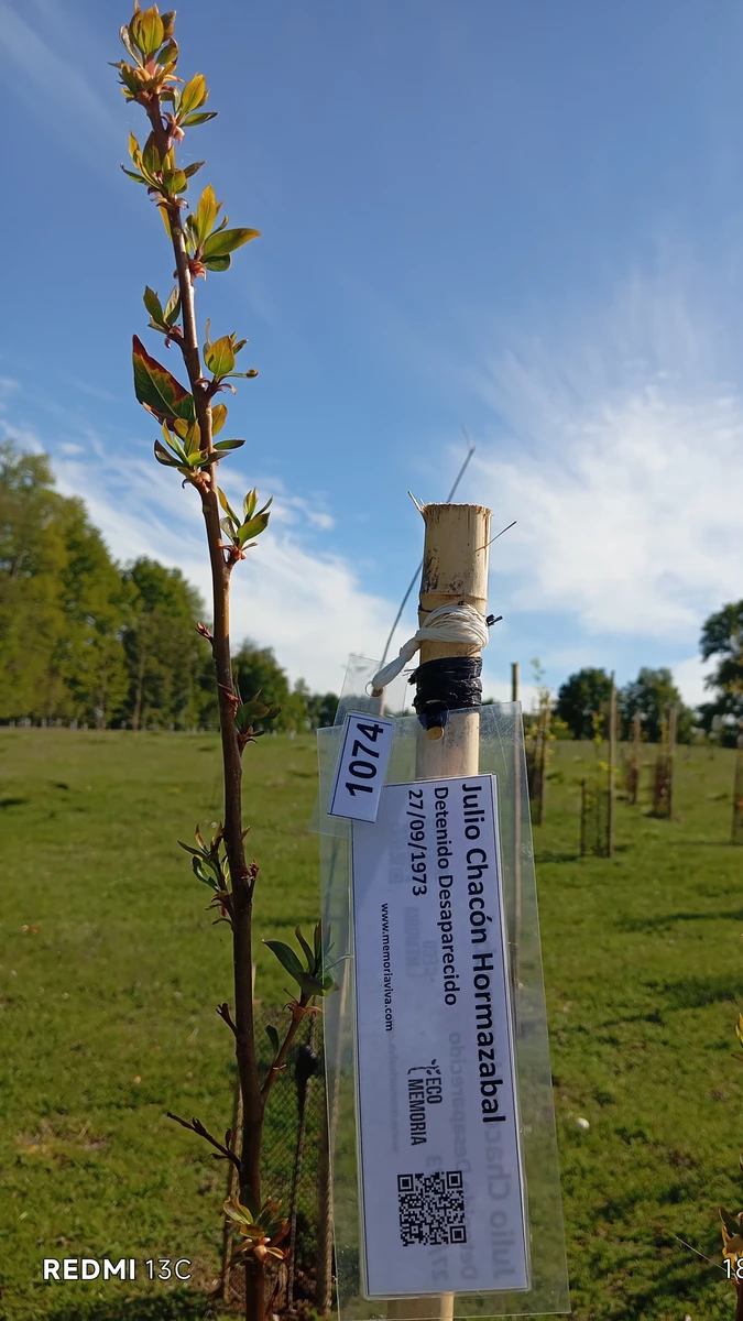 ecomemoria.cl  - Notro