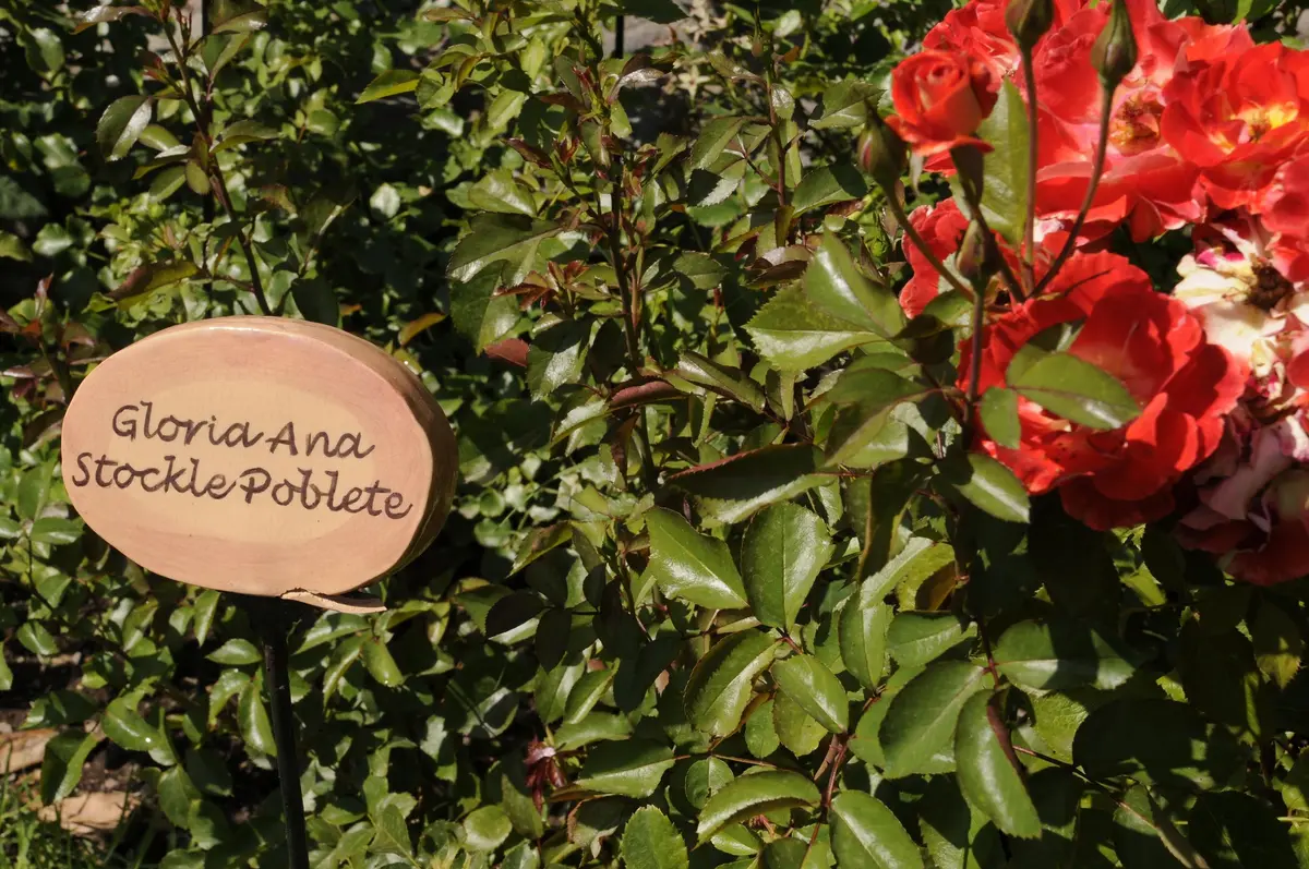 villagrimaldi.cl   Homenaje a la Mujer