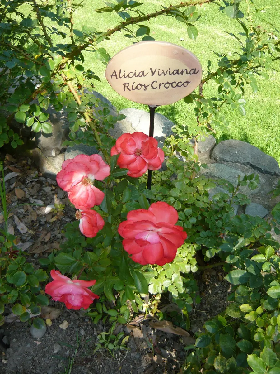 villagrimaldi.cl  Homenaje a la Mujer