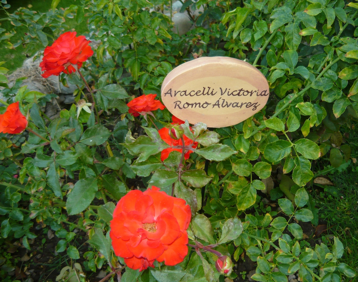 villagrimaldi.cl  Homenaje a la Mujer