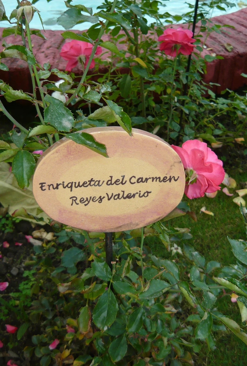 villagrimaldi.cl   Homenaje a la Mujer