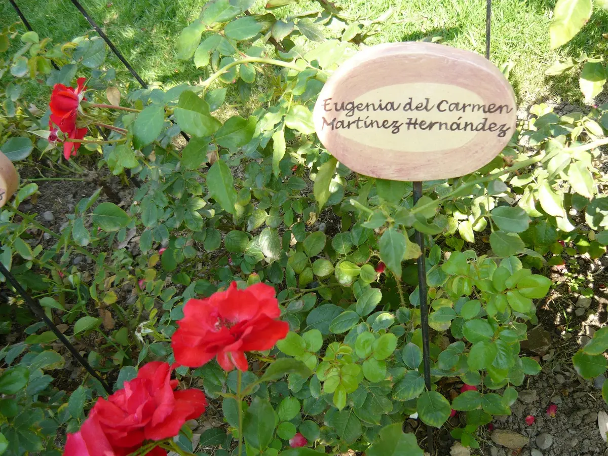 villagrimaldi.cl,  Homenaje a la Mujer