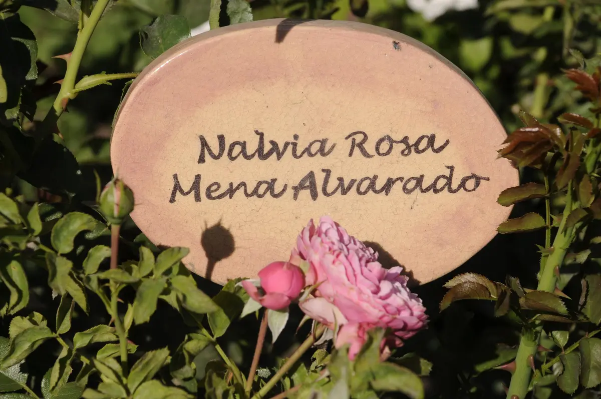 villagrimaldi.cl Homenaje a la Mujer