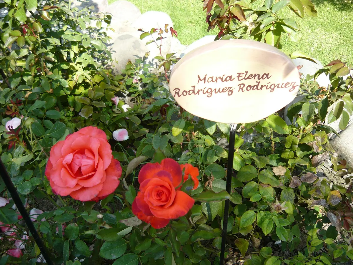 villagrimaldi.cl   Homenaje a la Mujer