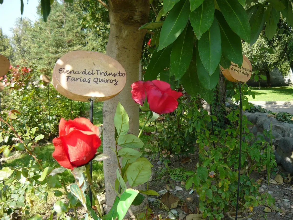 villagrimaldi.cl Homenaje a la Mujer