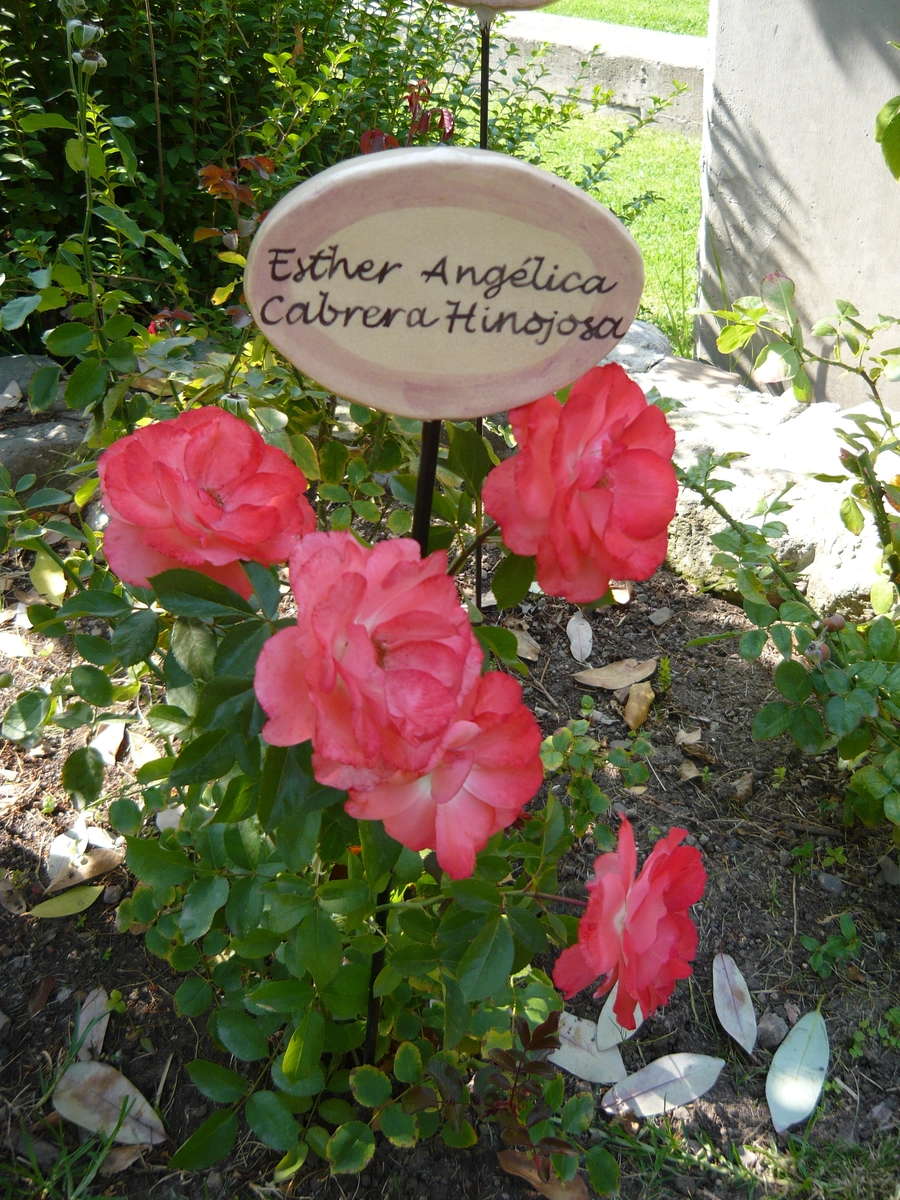 villagrimaldi.cl Homenaje a la Mujer