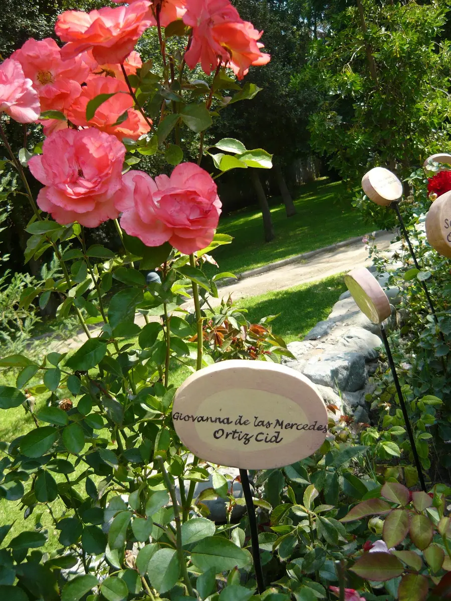 villagrimaldi.cl Homenaje a la Mujer