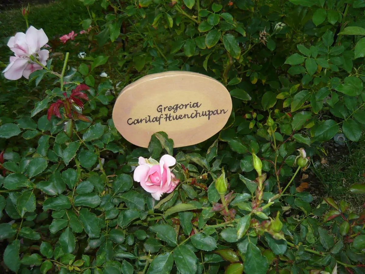 villagrimaldi.cl   Homenaje a la Mujer