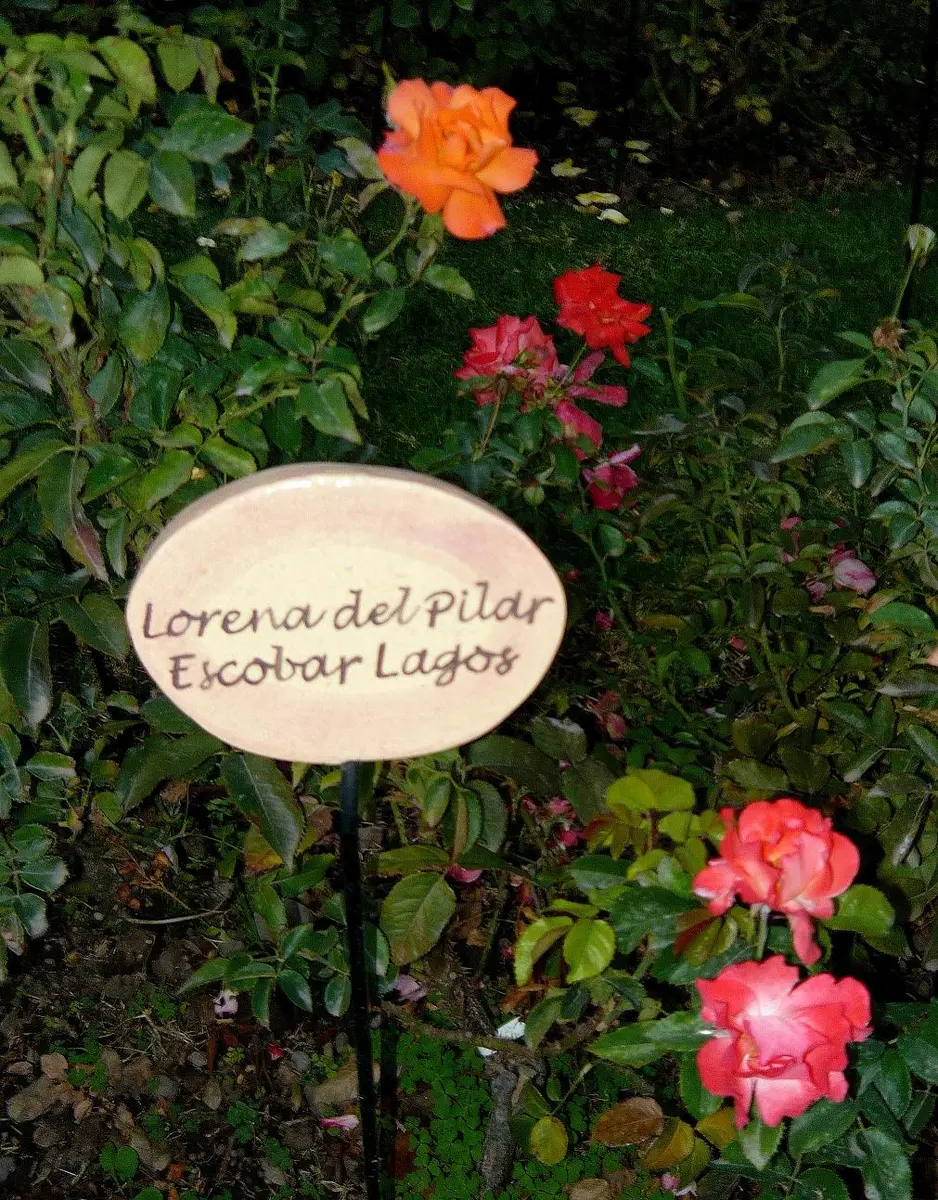 villagrimaldi.cl Homenaje a la Mujer