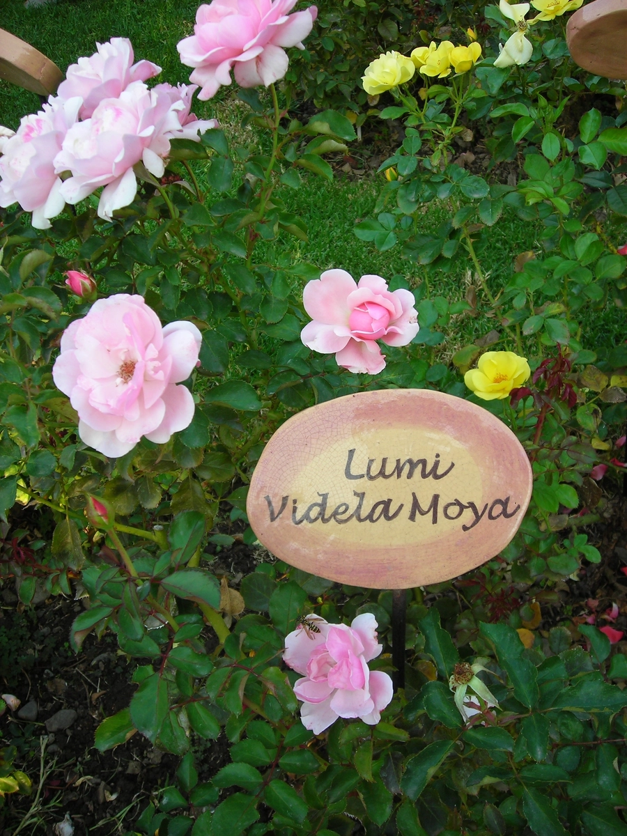 villagrimaldi.cl  Homenaje a la Mujer