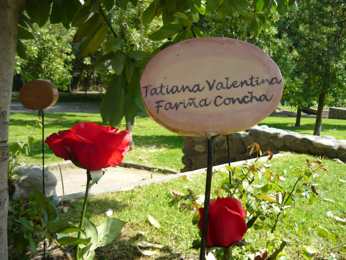 villagrimaldi.cl Homenaje a la Mujer