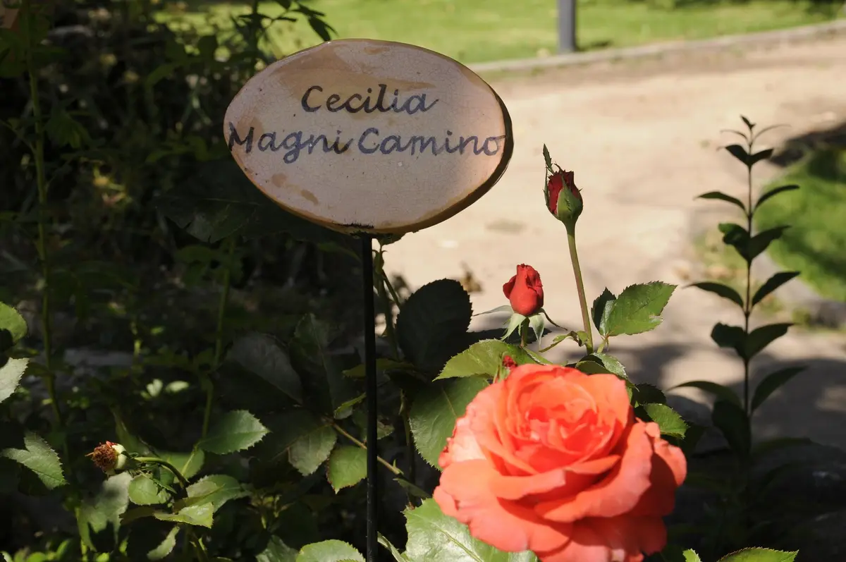 villagrimaldi.cl Homenaje a la Mujer