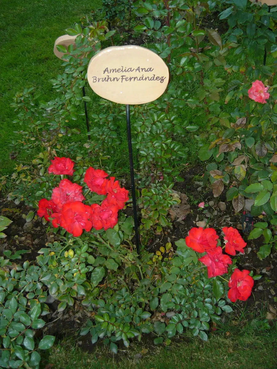 villagrimaldi.cl Homenaje a la Mujer