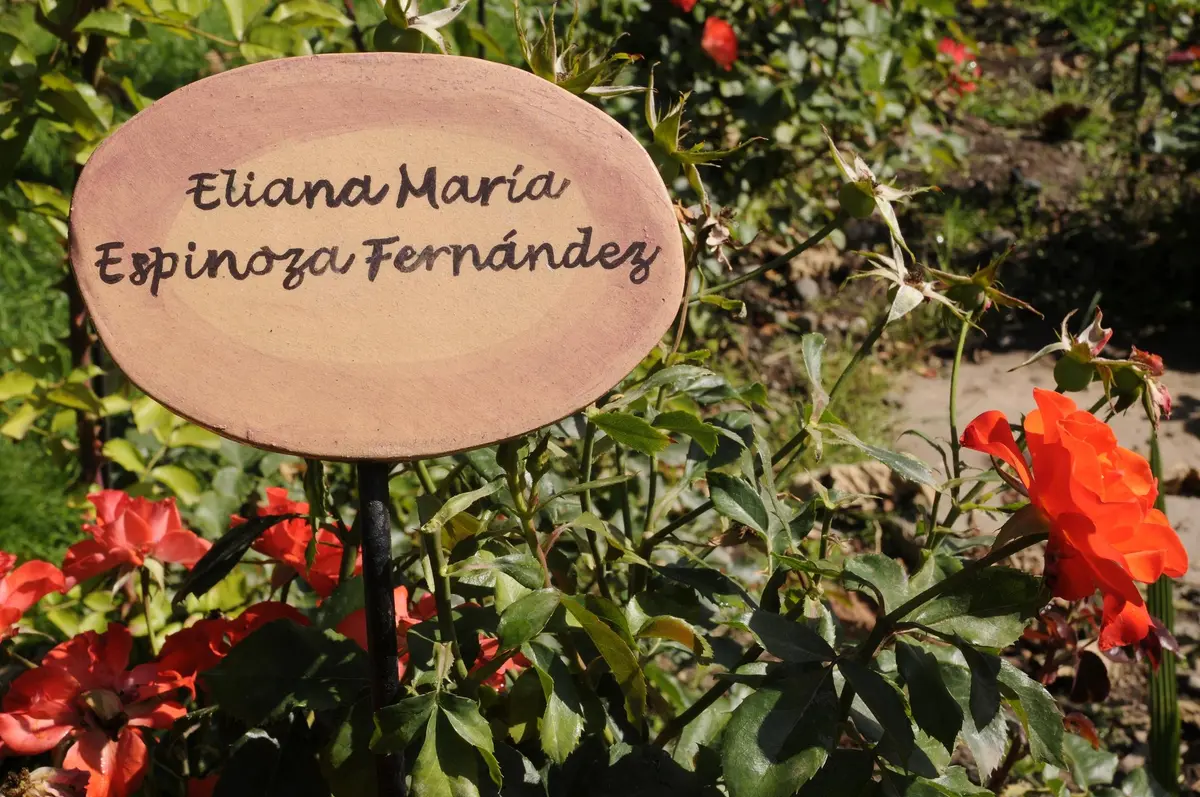 villagrimaldi.cl Homenaje a la Mujer
