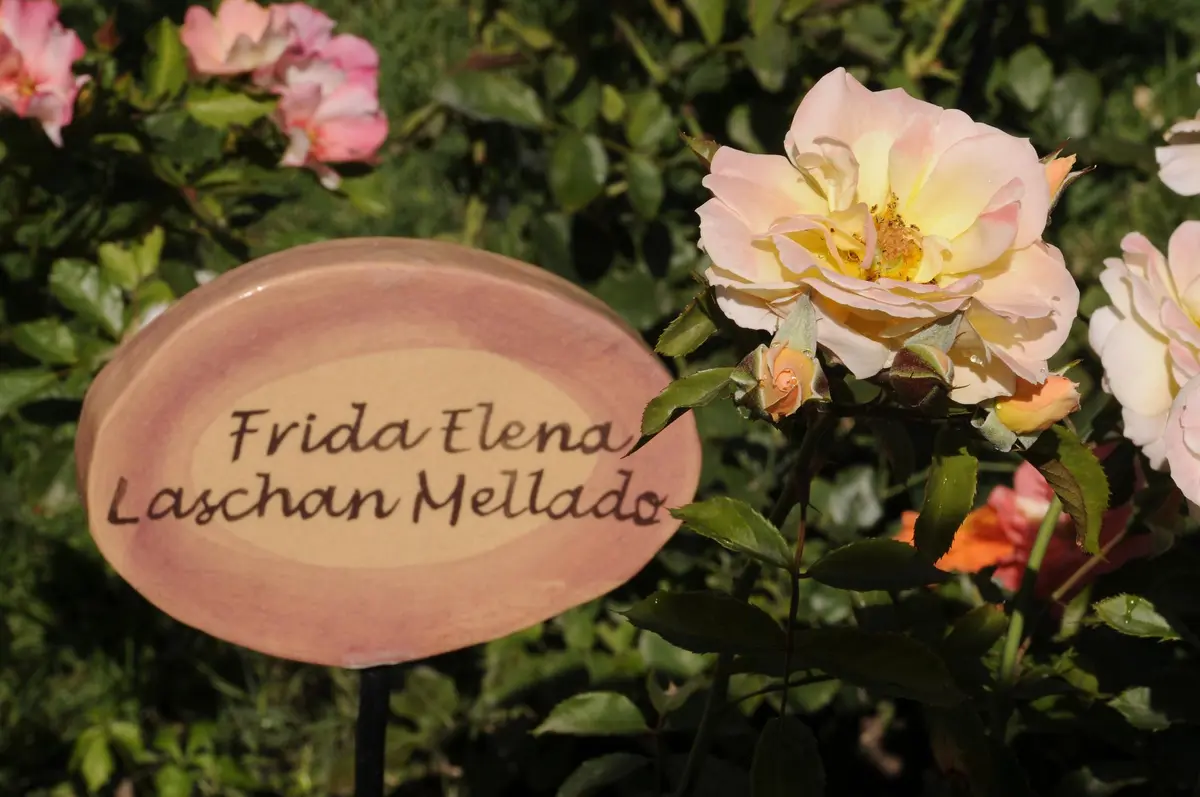 villagrimaldi.cl Homenaje a la Mujer