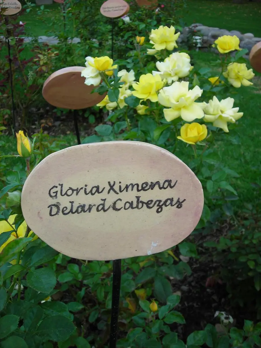 villagrimaldi.cl Homenaje a la Mujer