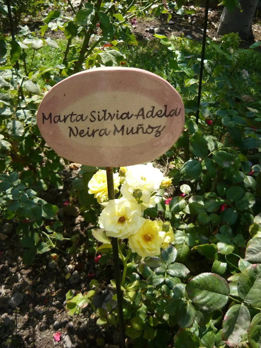 villagrimaldi.cl  Homenaje a la Mujer