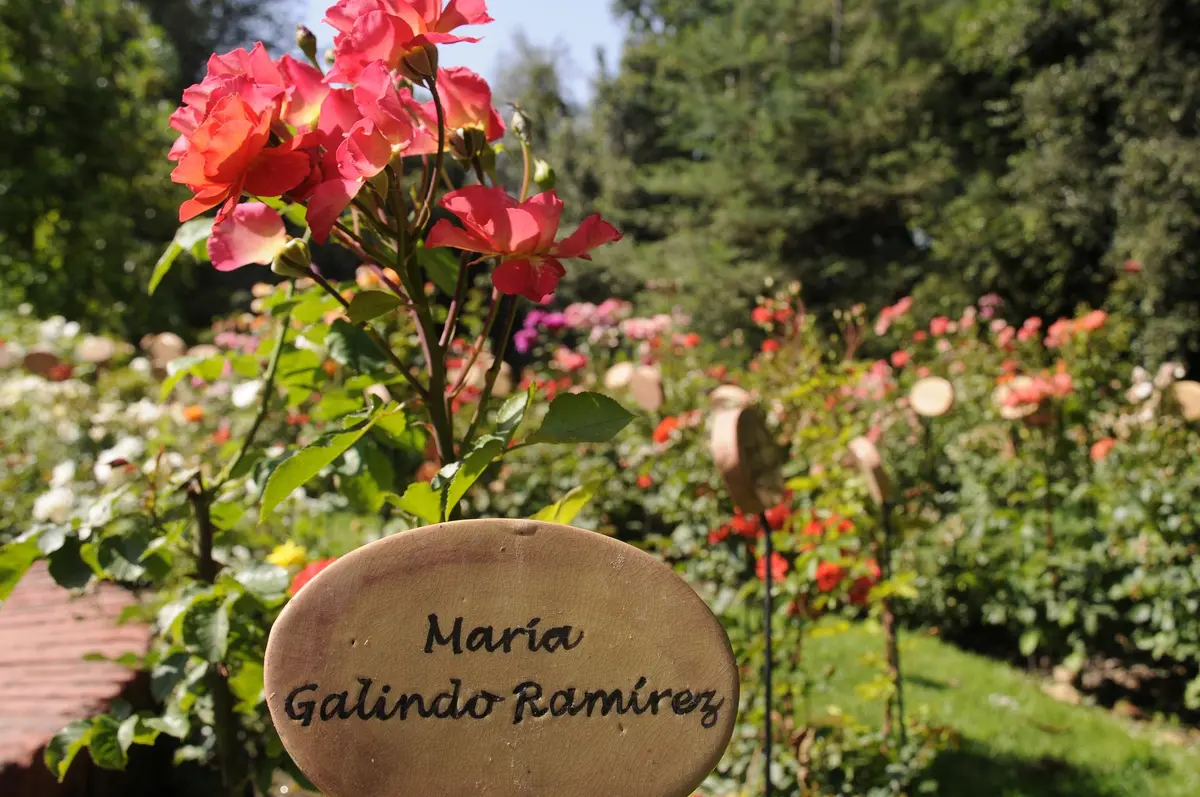 villagrimaldi.cl Homenaje a la Mujer